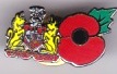 Poppy