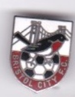 Robin and Bridge - London Badge